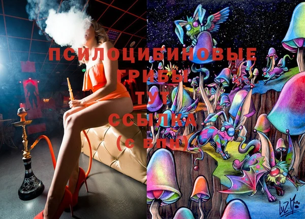 СК Аркадак
