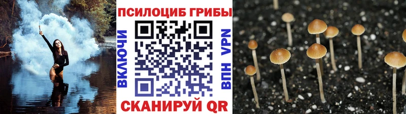 Псилоцибиновые грибы GOLDEN TEACHER  mega зеркало  Осташков  даркнет сайт 