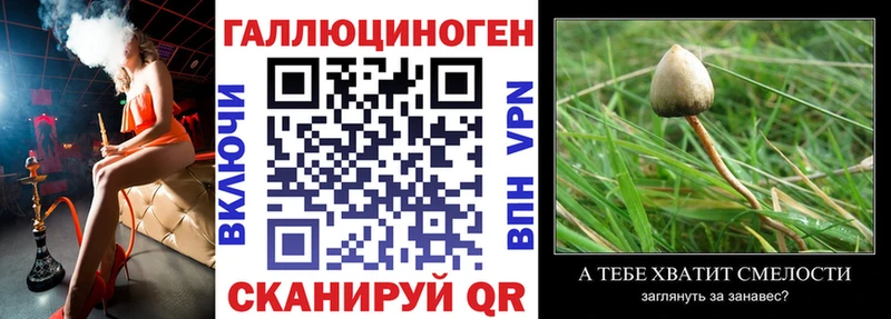 Псилоцибиновые грибы GOLDEN TEACHER Осташков